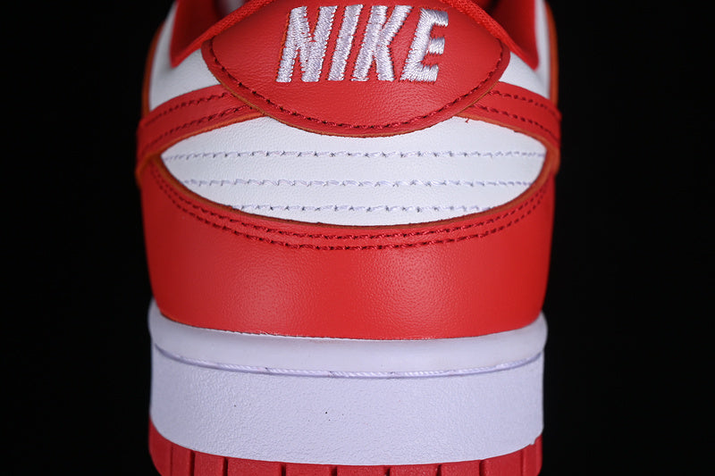 Nike Dunks Rot